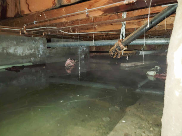 Best Residential water damage restoration  in Point, TX