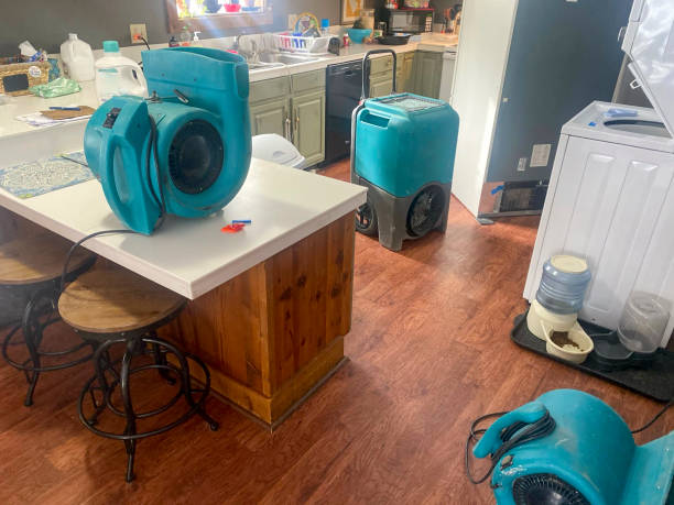  Point, TX Water damage restoration Pros