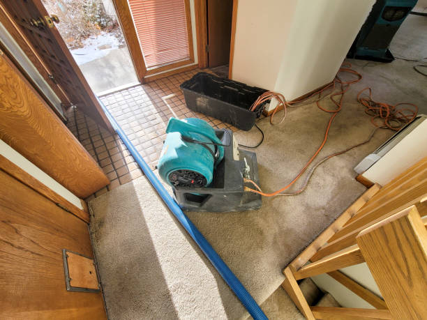 Best Water damage contractors near me  in Point, TX