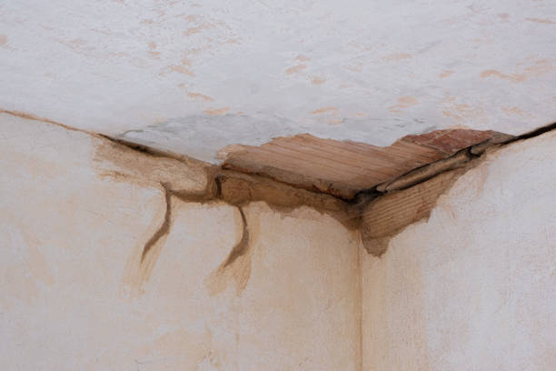 Best Water damage repair service  in Point, TX