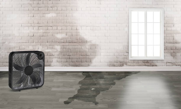 Best Emergency water damage restoration  in Point, TX
