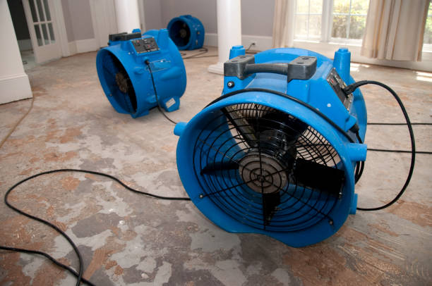 Best Basement water damage restoration  in Point, TX