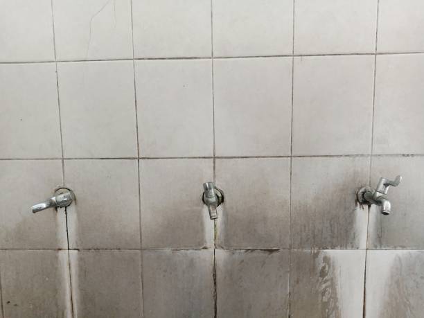 Best Mold removal after water damage  in Point, TX